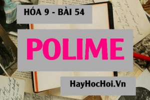 Polime là gì? Ứng dụng của Polime (chất dẻo, tơ và cao su) - Hóa 9 bài 54
